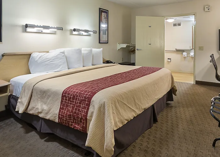 Pets Allowed Hotel Red Roof Inn Memphis East